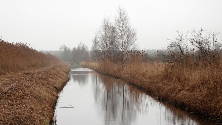 Grijs weer (foto: Ben Saanen).