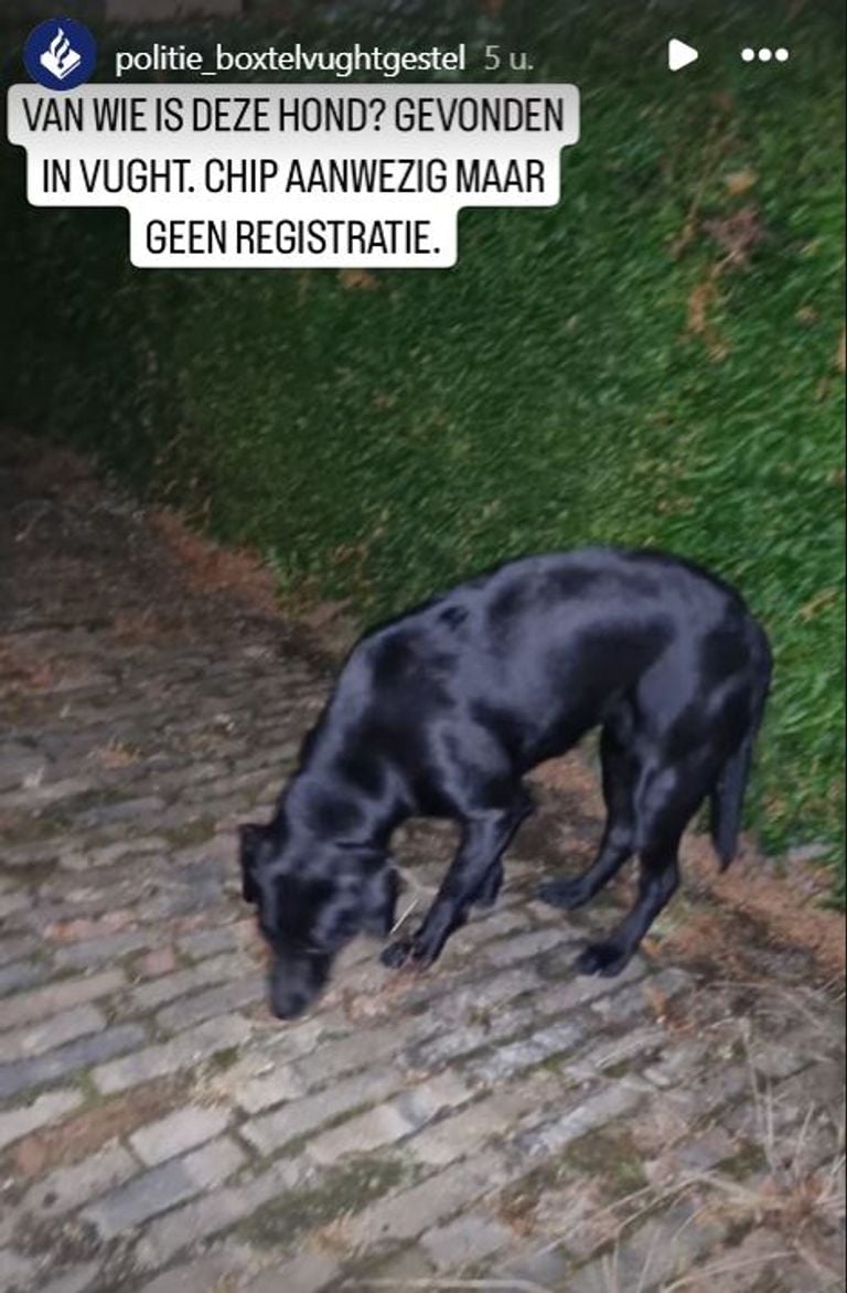 Foto: Instagram politie Boxtel-Vught-Gestel