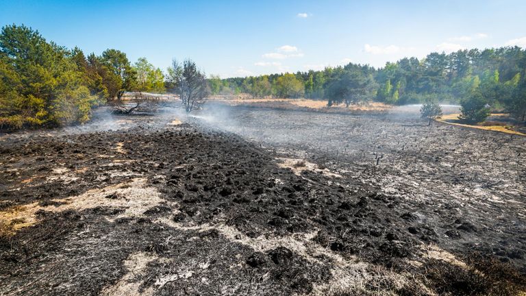 Foto: Sem van Rijssel/SQ Vision