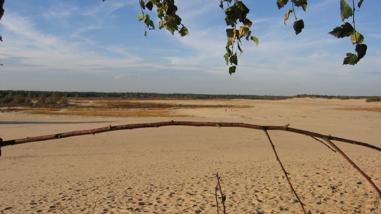 De Loonse en Drunense Duinen (foto: Frans Kapteijns).