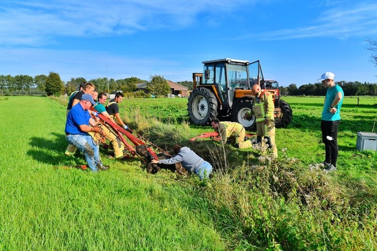 Met vereende krachten werd het paard uit de sloot in Valkenswaard gehaald (foto: Rico Vogels/SQ Vision).