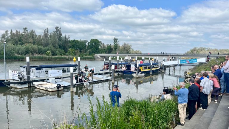 De eerste 29 steuren worden losgelaten in de Biesbosch. (foto: Raoul Cartens)