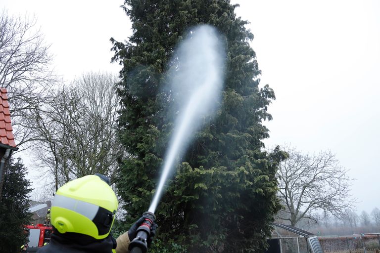 De brandweer dreef de kat uiteindelijk met een zachte waterstraal uit de boom (foto: SK-Media).