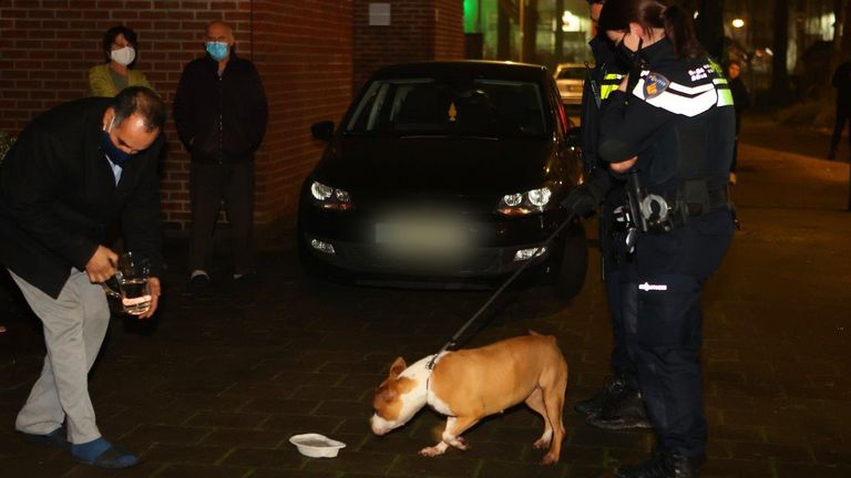 De hond kreeg meteen water (foto: Bart Meesters / SQ Vision).