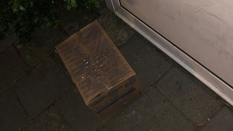 De doos waar de diertjes in zaten (Foto: Dierenambulance Brabant Noord-Oost)