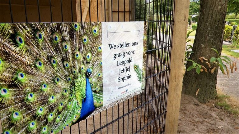 Het nieuwe verblijf op begraafplaats Zuylen in Breda. (foto: Raoul Cartens)