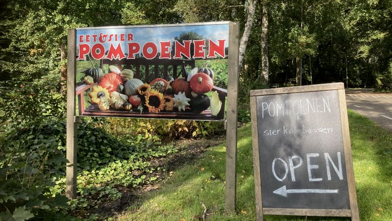 Stalletjes genoeg langs de weg waar ze pompoenen verkopen 