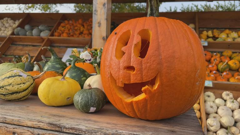 Ondanks de mislukte oogst heeft Leemans nog voldoende sierpompoenen voor Halloween (foto: Noël van Hooft).