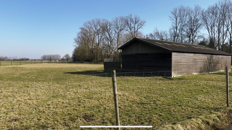 De wei waar de herten horen te staan (foto: Jan Peels).