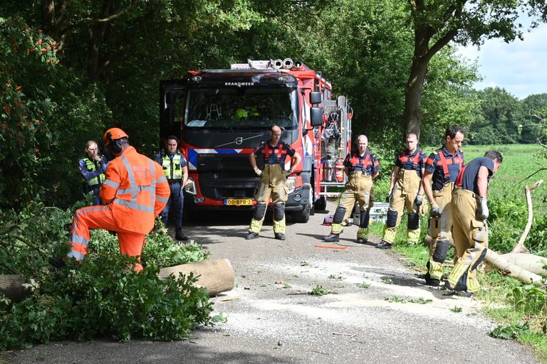 De brandweer zaagde de boom in stukken (foto: Perry Roovers/SQ Vision).