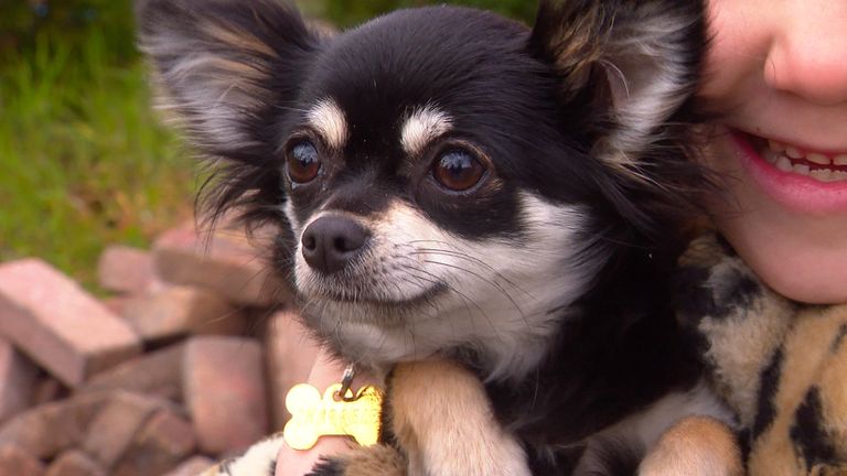 Het hondje is weer in goede handen (foto: Raymond Merkx).