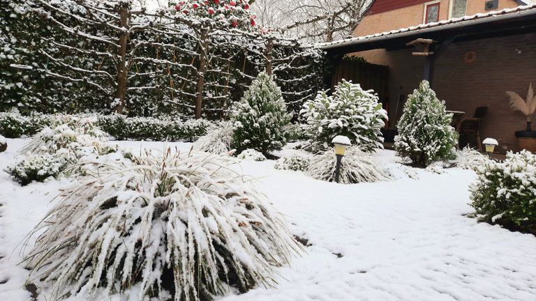 Een winters tuintje (foto: hans van Hamersveld).