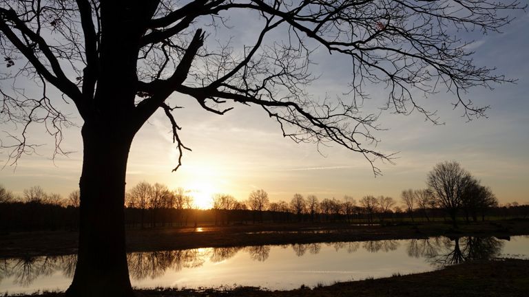 Zonsopkomst in Budel (foto: Ben Saanen)