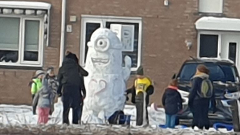 Deze nieuwe Eindhovenaar groeide binnen een paar uur naar 2 meter (foto:Yvonne Bekelaar)