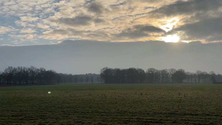 Het waterbergingsgebied aan de Vloeidijk (foto: Tom van den Oetelaar).