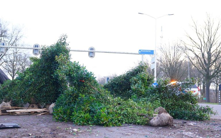 Door de klap belandden diverse planten die met de aanhanger vervoerd werden op de weg  (foto: Bart Meesters).