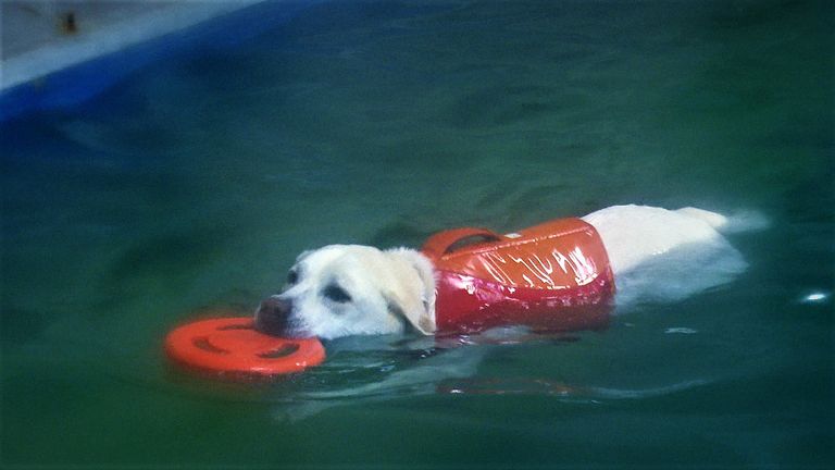 Tim in aantocht met de frisbee. (foto: Raoul Cartens)