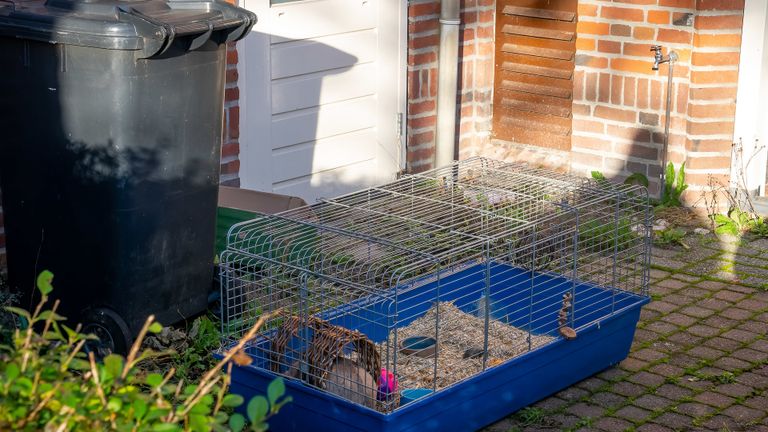 Een konijn werd op tijd uit het huis in Waalwijk gehaald (foto: Iwan van Dun/SQ Vision).