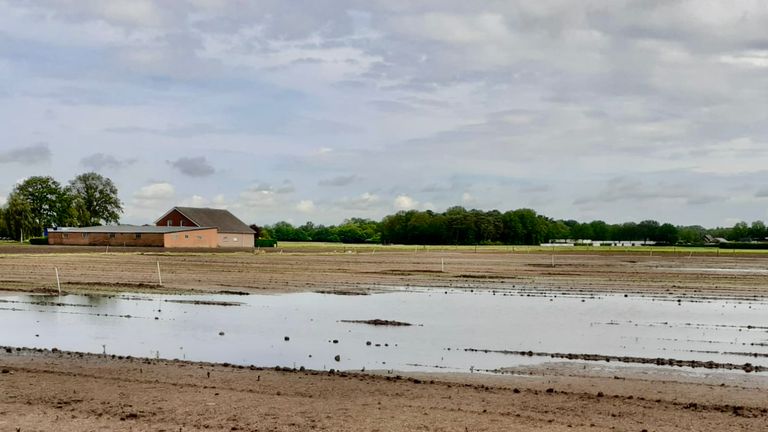 Het ondergelopen dahliaveld van buurtschap Stuivezand (foto: Ad de Bruin)