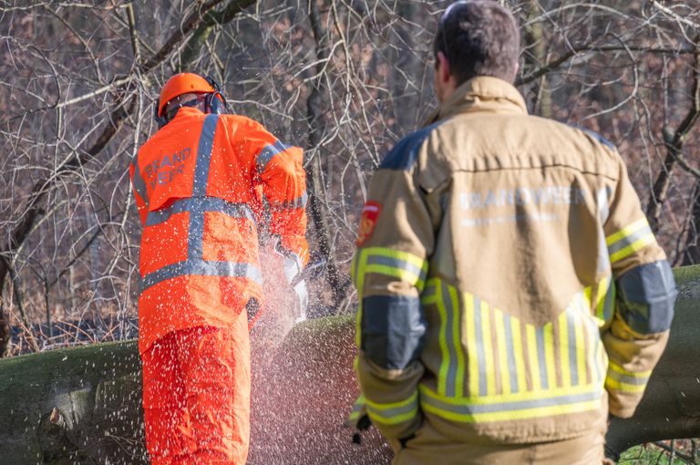 De brandweer zaagde de boom in stukken (foto: Tom van der Put/SQ Vision).