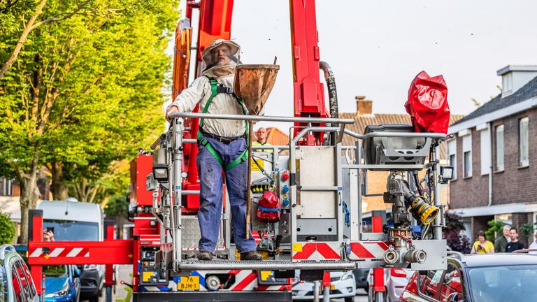 Gelukt! (foto: Jack Brekelmans/SQ Vision)