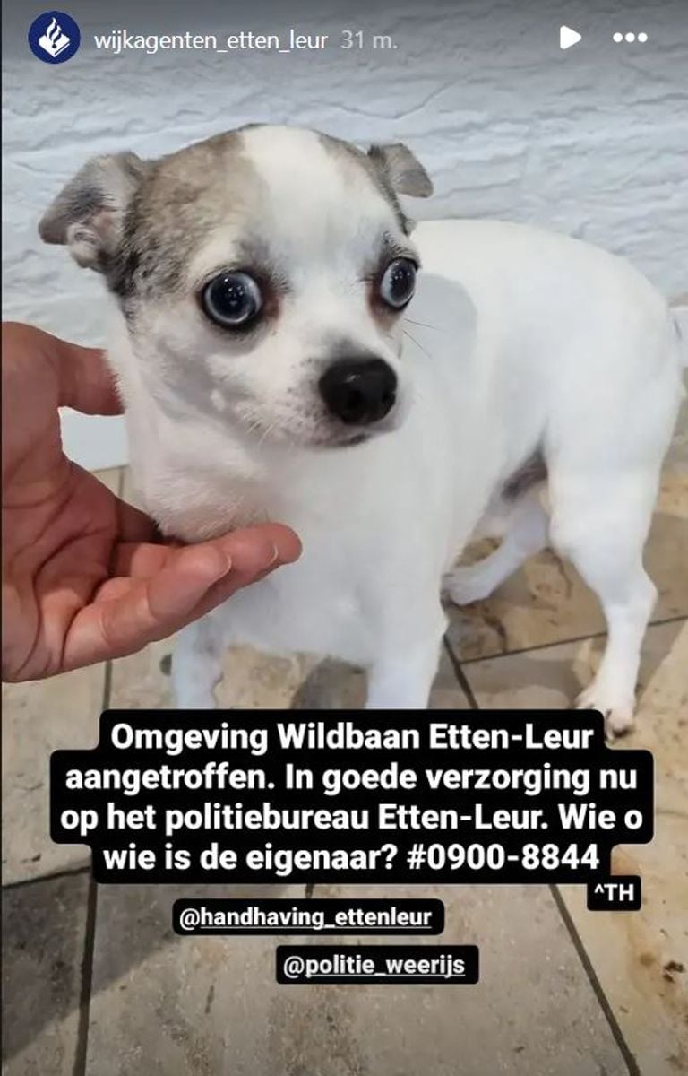 Foto: Instagram wijkagenten Etten-Leur