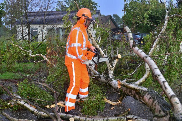 De omgevallen boom in Deurne wordt in mootjes gehakt (foto: Walter van Bussel/SQ Vision).