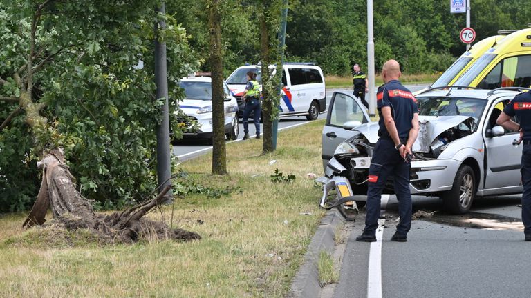 De boom werd bijna ontworteld (foto: Perry Roovers/SQ Vision).