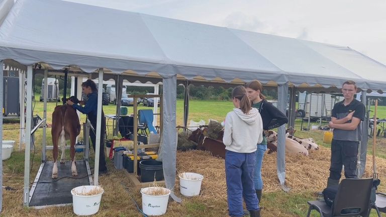 De tent van de familie Zonnenberg (foto: Omroep Brabant).