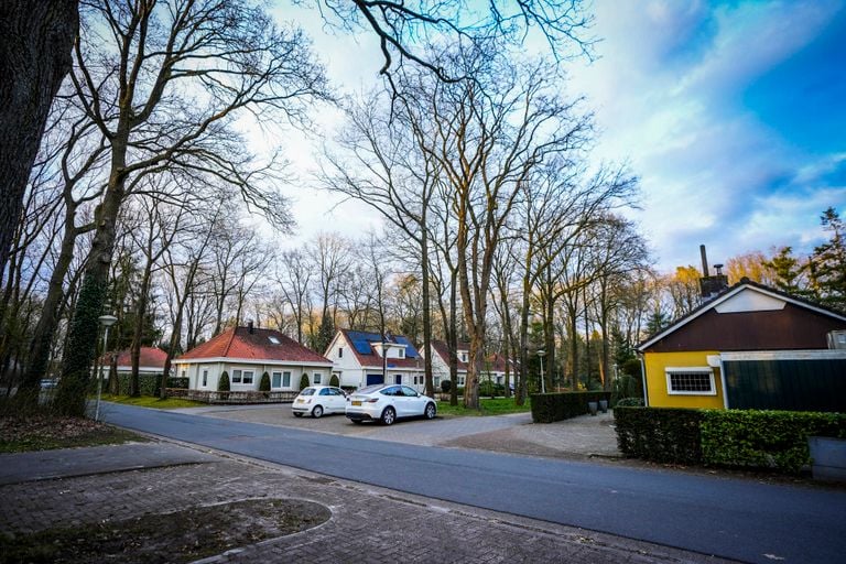 Het bosbrandje woedde vlakbij een grotendeels houten woonwijk in Eindhoven (foto: Persbureau Heitink).