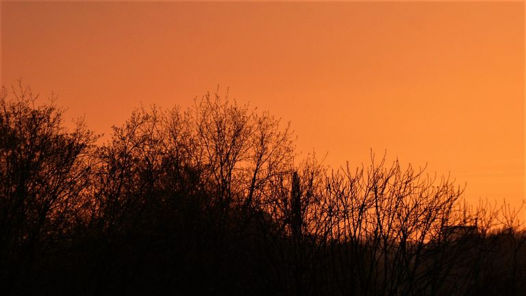 Mooie zonsondergang in Waalwijk (foto: Martha Kivits).