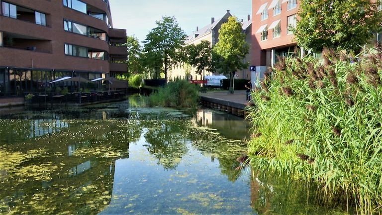 Als laatste wordt de Nieuw Mark doorgetrokken naar de singel achter het Seelig-terrein. (foto: Raoul Cartens)