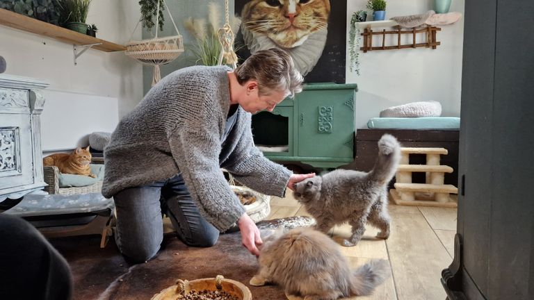 Arianne de Jong tussen haar katten (foto: Noël van Hooft)