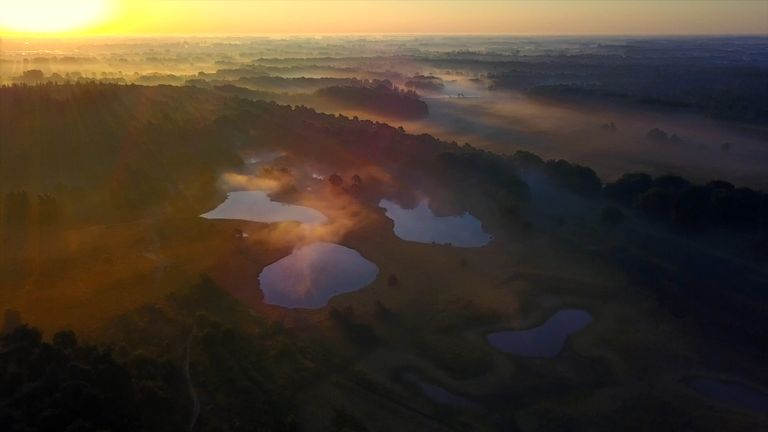 De Oisterwijkse vennen van boven af (Beeld: Oisterwijk in beeld)