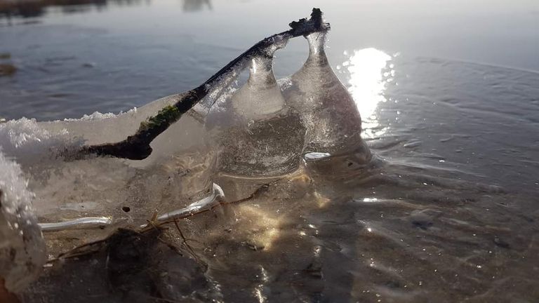 Schoonheid zit in het detail (foto:Phil van Kempen)