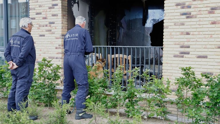 Bij het politieonderzoek in Cuijk wordt onder meer een hond ingezet (foto: SK-Media).