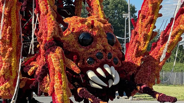 Buurtschap Stuivezand - Arachnophobia (Foto: Omroep Brabant).