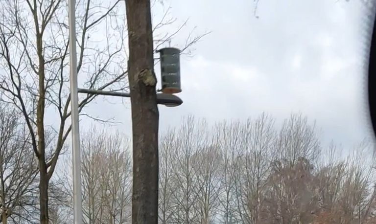 Kastjes ter bestrijding van eikenprocessierupsen langs het Eindhovens Kanaal (foto: Anke van der Meulen).