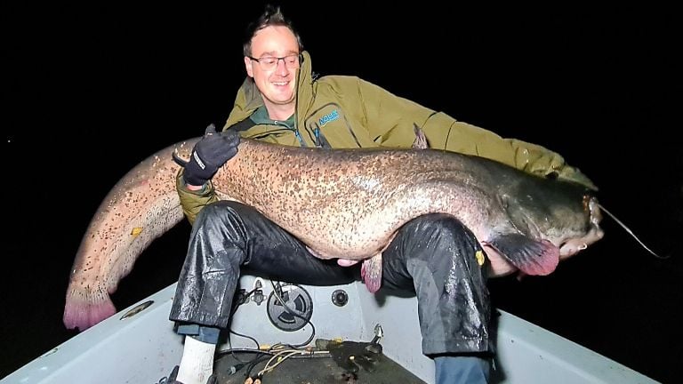 Niels ving een meerval van 1,95 meter (foto: Predator Hunting Biesbosch/Facebook).