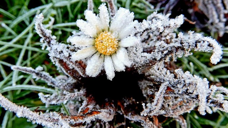 Sneeuw in de lente (foto: Yoka Buuron).