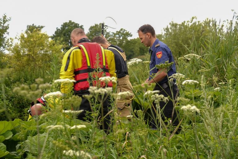 Brandweerlieden kijken toe, terwijl de medewerker van de Dierenambulance zich over het dier ontfermt (foto: Harrie Grijseels/SQ Vision).