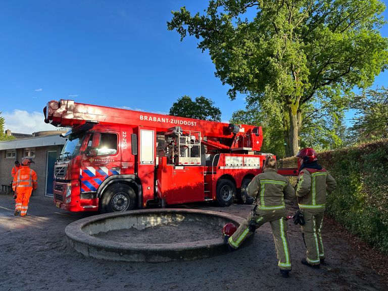 Losse tak bij basisschool (foto: Dave Hendriks/SQ Vision).