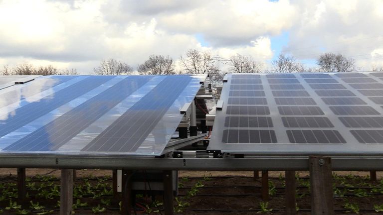 Zonnepanelen die een verschillende hoeveelheid licht doorlaten.