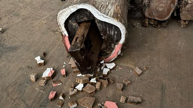De coke zat verstopt in boomstammen (foto: Openbaar Ministerie).