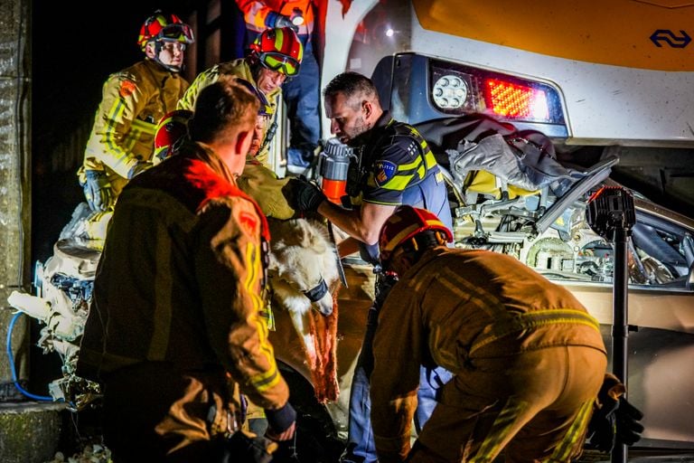 Een hond werd levend uit de auto gehaald (foto: SQ Vision).