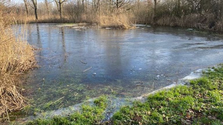 De vorst en het hoge water leveren mooie plaatjes op, zoals hier bij de Dommel (foto: Hans Janssen).