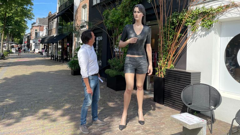 'Woman being being looked at' van Sean Henry (foto: Omroep Brabant).