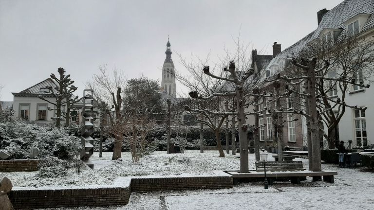 De Willem Merkxtuin in Breda met op de achtergrond de Grote Kerk (foto: InfoBreda/Bart Winkel).