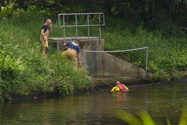 De brandweer tijdens de pogingen deze middag om een ree te vinden en te redden (foto: Harrie Grijseels/SQ Vision).