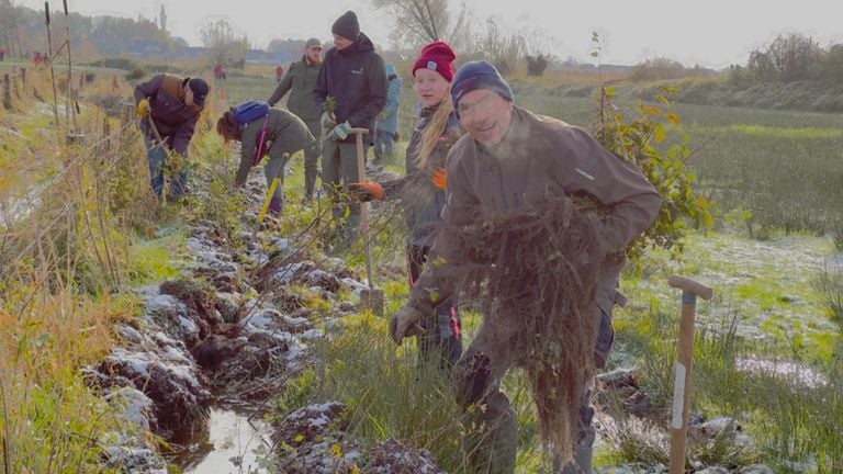 Het planten van de Maasheggen (foto: Lars van Peij).